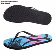 New Arrive Outdoor Colorful Summer Flip Flop with Clear Printing